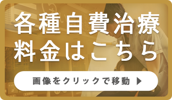 各種自費治療料金